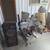 Electronic drum set new around $600 1 thumbnail