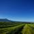 Colorado Dream Retreat: 20 Acres, Privacy, Stunning Mountain Views 6 thumbnail