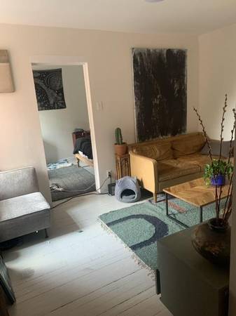 $80 / 1br - 1BR apartment in Greenpoint November 2nd - November 17th (Greenpoint)64146824363139122