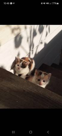 Looking For (Bristol)63896548422019120