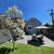 Sunny, Reno'd Top Floor 2bd with Parking, In-Unit Laundry and Yard! 14 thumbnail