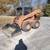 2020 Kubota SSV75 PHFRC wheeled skid steer 1 thumbnail
