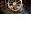 6ft ships wheel 1 thumbnail