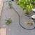 Drip systems and sprinklers 7 thumbnail