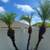 🌿 It's Grow Time Landscaping – Affordable & Reliable Services! 12 thumbnail
