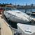 SEA RAY SUNDANCER 260 2 thumbnail