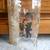 Vintage Souvenir Boots Randolph Handled Glass 2 thumbnail
