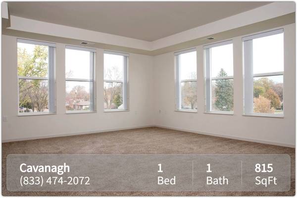 $1,343 / 1br - 815ft2 - Ideal location! Close to everything! 1 bed / 1 bath! 815 Sqft! (Crystal - Cavanagh Oaks)64003957296641120