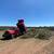 Mack Rock Buggy 9 thumbnail