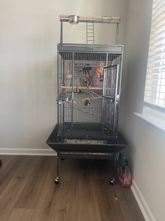 Parrot Cage 1