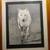 Framed Wolf Drawing Picture 3 thumbnail