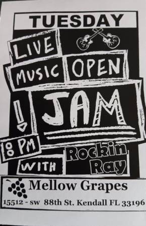 MUSICIANS OPEN JAM 1