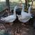 Geese and Team Roping  Saddles 12 thumbnail