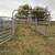 Cattle sorter fencing with chute 3 thumbnail