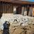 Dirt Removal Bobcat Service - Licensed and Insured 15 thumbnail