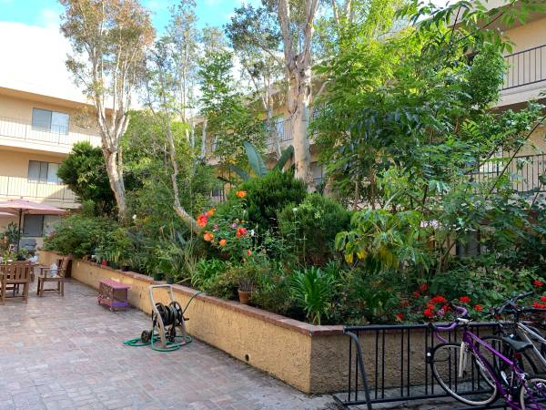 $1,525 / 1br - Single Roommate Wanted (Sawtelle)63700958610177121