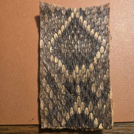 Rattlesnake skin.  &***& 1