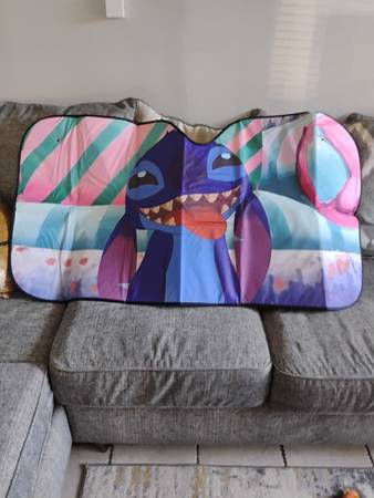 Windshield sun visor 1