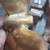 Boat Propellers,NOS Vintage Outboard Motor 6 thumbnail