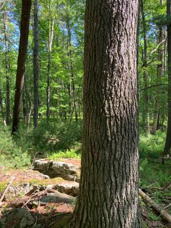 $9,000 / 54041ft2 - Nice, quiet, peaceful 1.24 Acre (Poconos, Pike County, Dingmans Ferry PA)63951424824194121