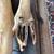 RARE ORIGINAL X-FILES TELEVISION SERIES AUTOPSY ALIEN 18 thumbnail