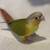 Baby Green Cheek Conures with New Cage 2 thumbnail