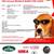 Big on Beagles 18th Annual Beagle Bash for Ca$h!! 1 thumbnail