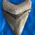 Fossil Shark Tooth Sale Every Day from 1-5pm in Turlock 6 thumbnail