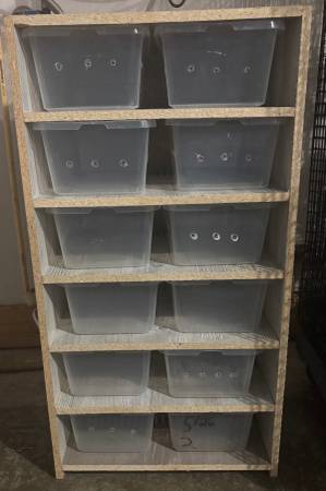 Reptile snake rack 1