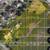 "RARE Hobby Farm for Sale 3.5 Irrigated Acres inside City Limits 6 thumbnail