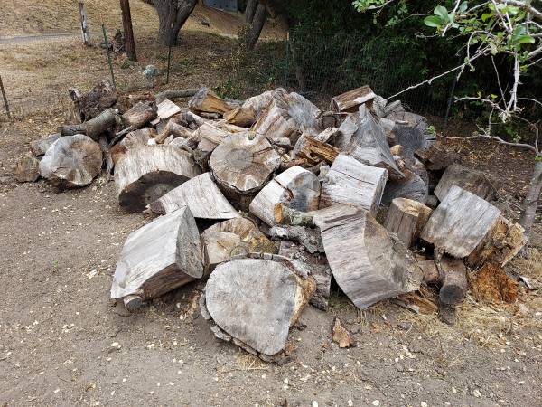 free firewood, I'll pay $50 to anyone who will take all 1