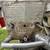 Vintage Champion Blue Ribbon Boat Motor 5 thumbnail