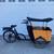 Ferla Inspire cargo e-bike 2 thumbnail