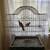 Parrot Bird Cage 2 thumbnail