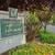 Lush Landscaped Courtyards, Courtyard, BBQ 6 thumbnail
