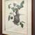 Law Firm - Signed Art Work by Richard Sloan 14 thumbnail