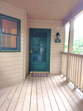 $1,100 / 474ft2 - Studio Condo in Lake Lure with Full Resort Access (Lake Lure)64029203812610121