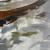 Framed Canvas Large Painting Boat Seascape unSigned 31 x 31 inch 12 thumbnail