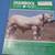 9 ISSUES THE CATTLEMAN MAGAZINE FT. WORTH, TEXAS1971-5 17 thumbnail