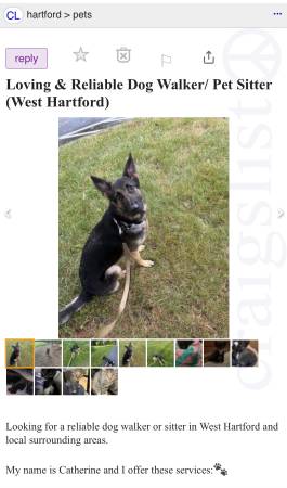 I Put a Dog Walking/Pet Sitting post and it gets removed, why? (West Hartford)64008392275714123