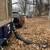 Commercial 🍂🍁residential 🍂🍁 fall clean up 🍂🍁 leaf removal 2 thumbnail