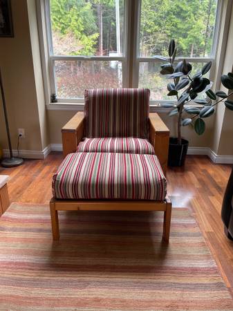 Arm chair and ottoman 1