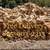 Firewood 3 thumbnail