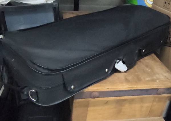 Double strings viol case 1