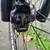 Focus Raven 29R Carbon Front Suspension Mountain Bike, Size S 7 thumbnail