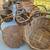 Large Yard Sale - Hundreds of square feet 3 thumbnail