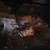 Tarantulas 1 thumbnail