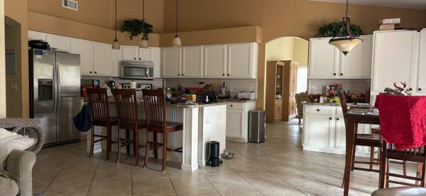 In Home Pet Sitting 1