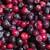 Benewah HuckleBerries 4 thumbnail