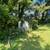 Collinsville Opportunity: Value, Location, and Potential! 21 thumbnail